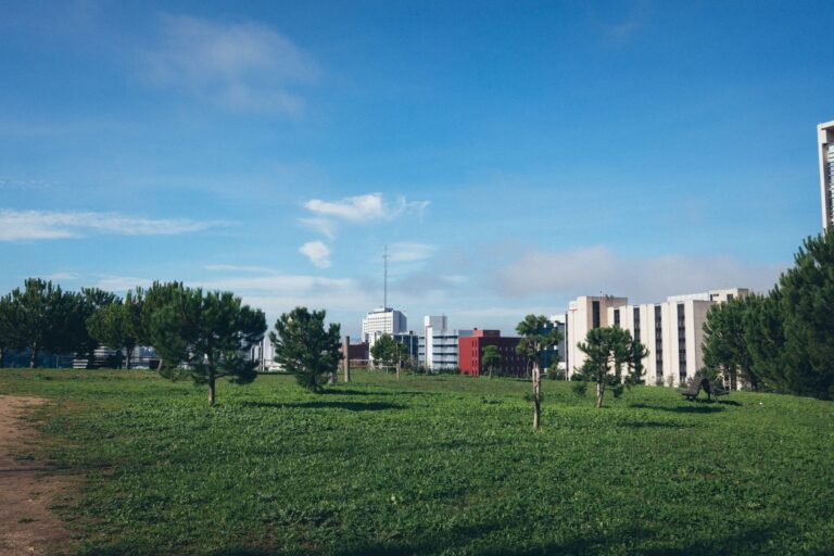 Chaleur à Toulouse : les leviers du plan de rafraîchissement