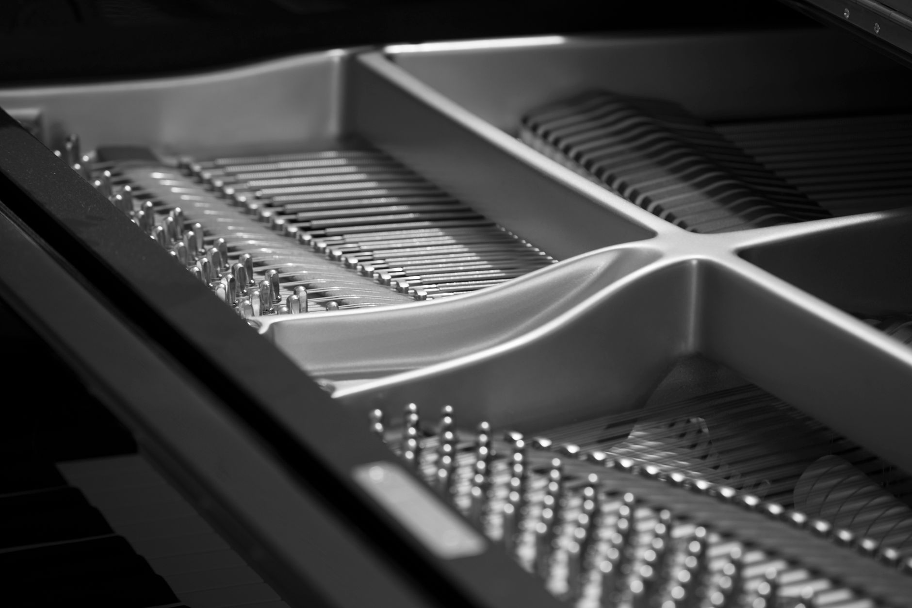 Detailed black and white photo showing strings inside a grand piano.