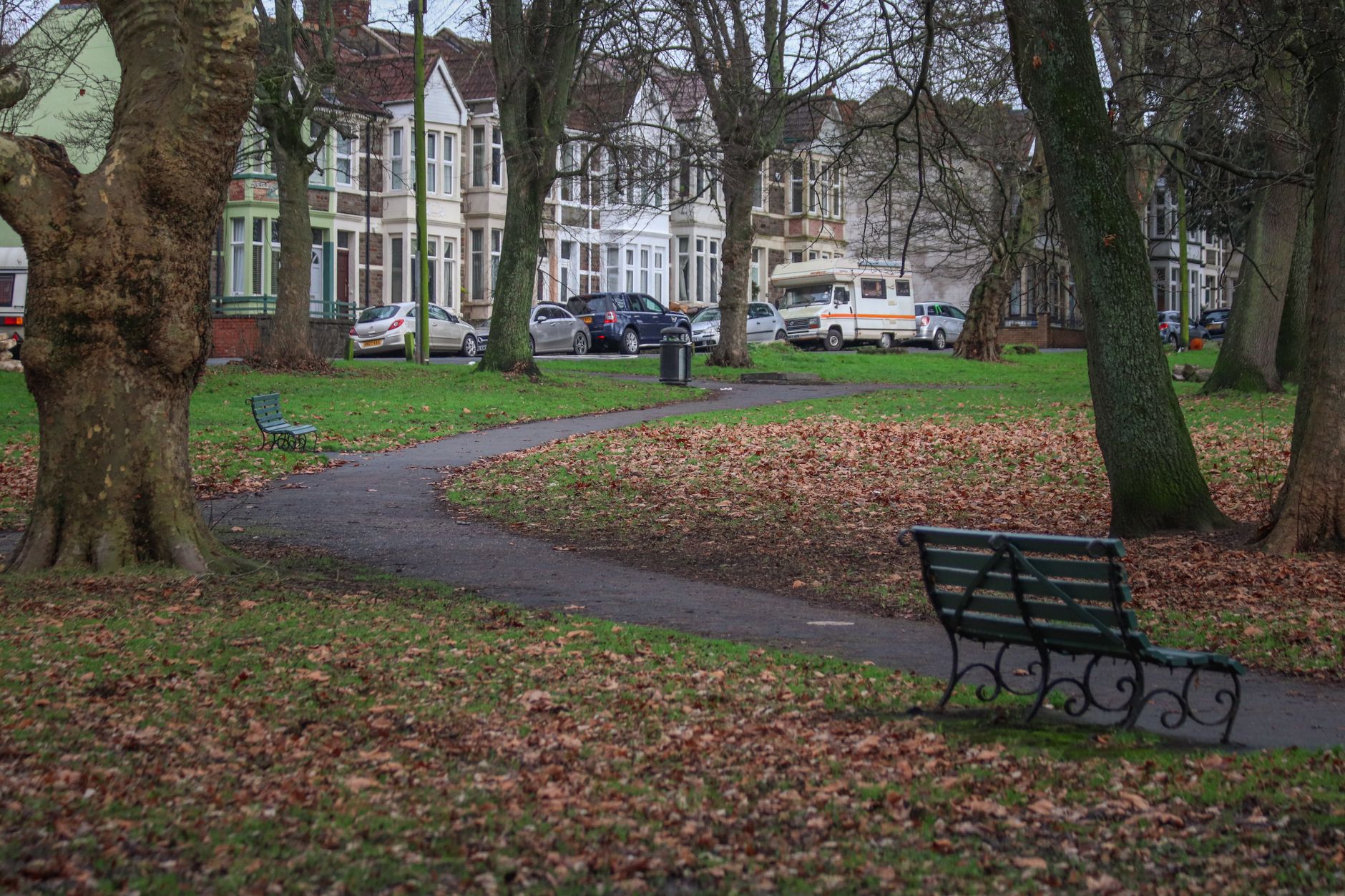 Arbres et espaces verts en ville : ce qui change vraiment le cadre de vie